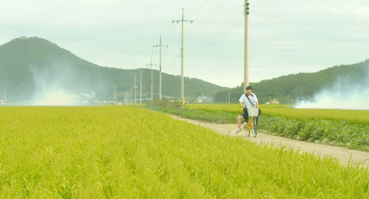 Knocking On The Door of Your Heart