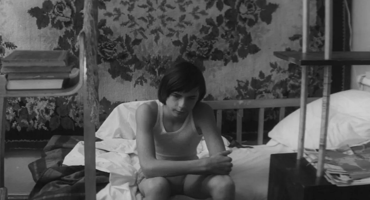 Domestic Circumstances