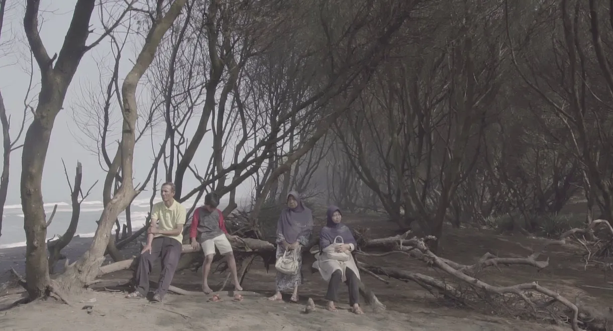 Regards from the Southern Crab