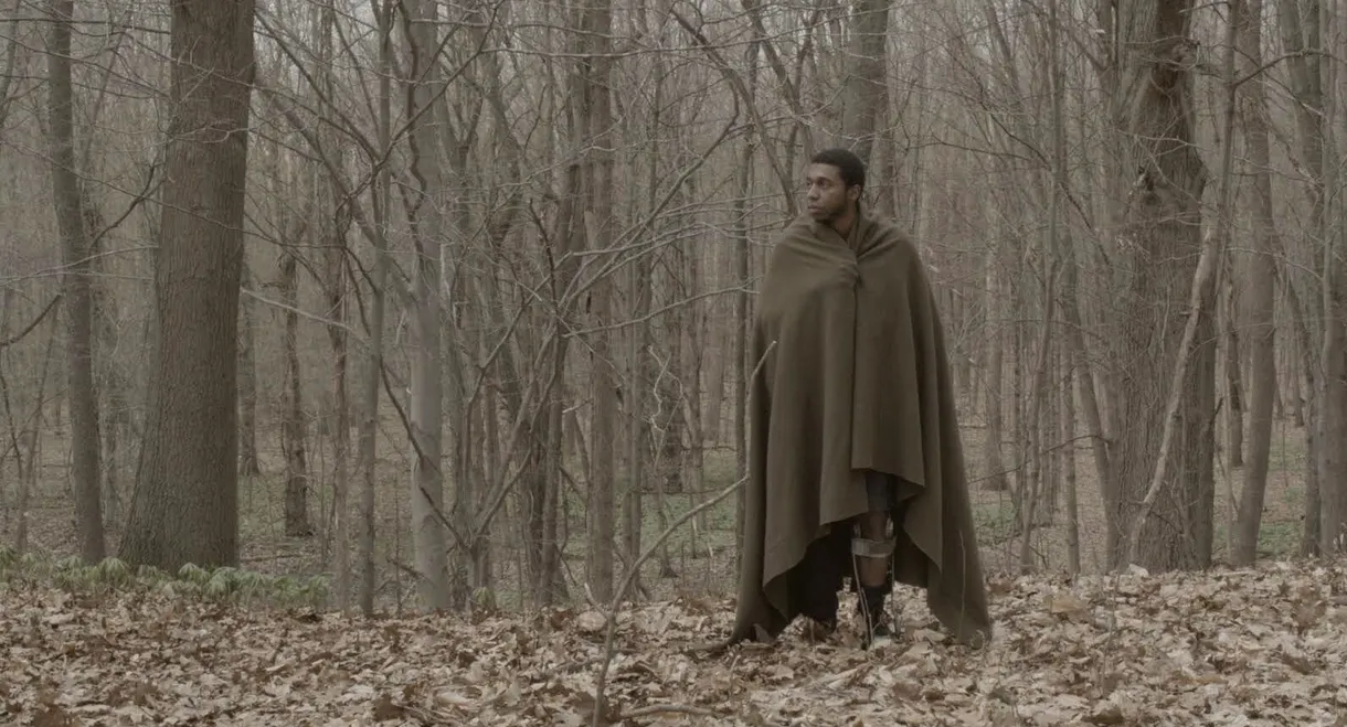 The Alchemist Cookbook