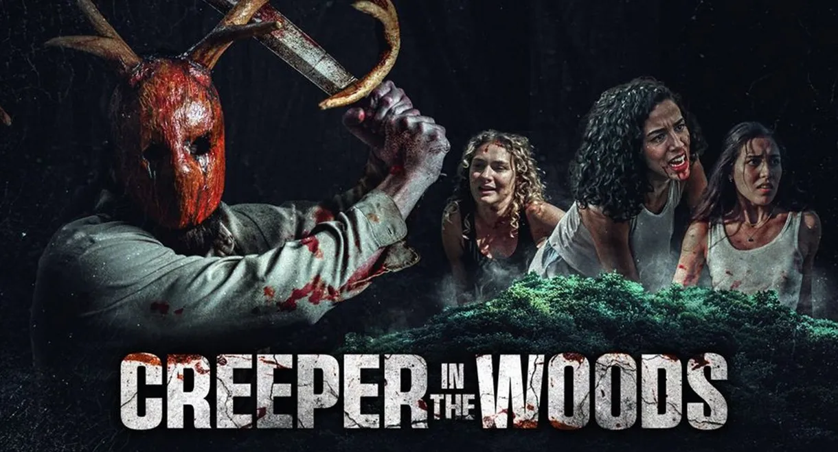 Creeper in the Woods