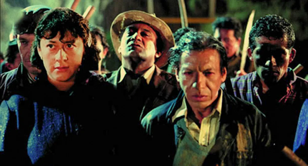 A Game of Cat and Mouse