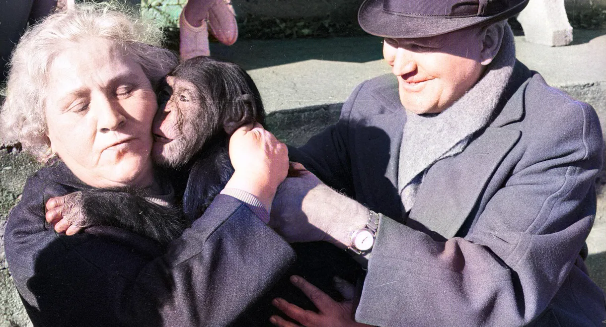 Land of Silence and Darkness