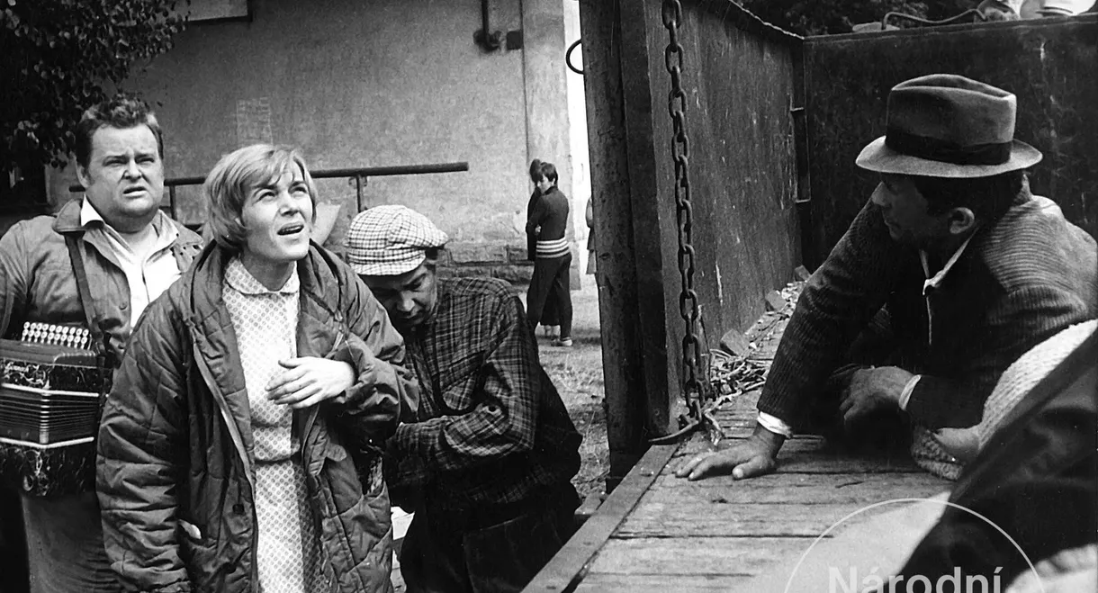 The Seventh Day, the Eighth Night