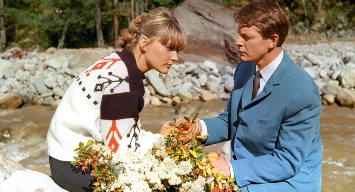 We Called Him Robert