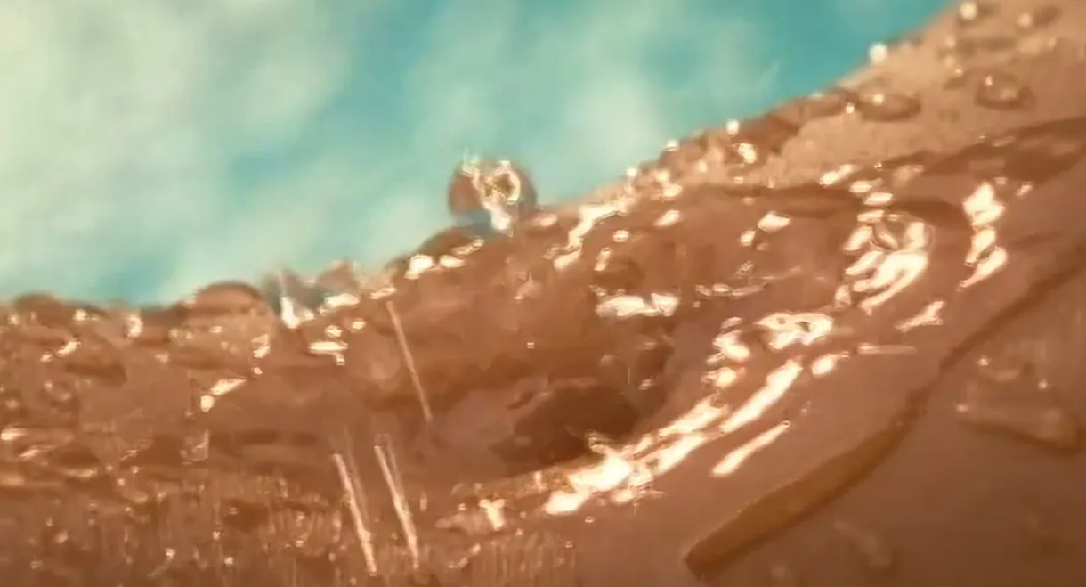 Playboy: Wet & Wild V