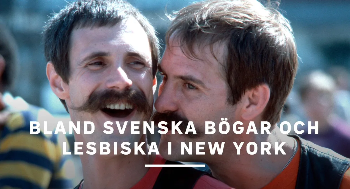 Bland svenska bögar och lesbiska i New York