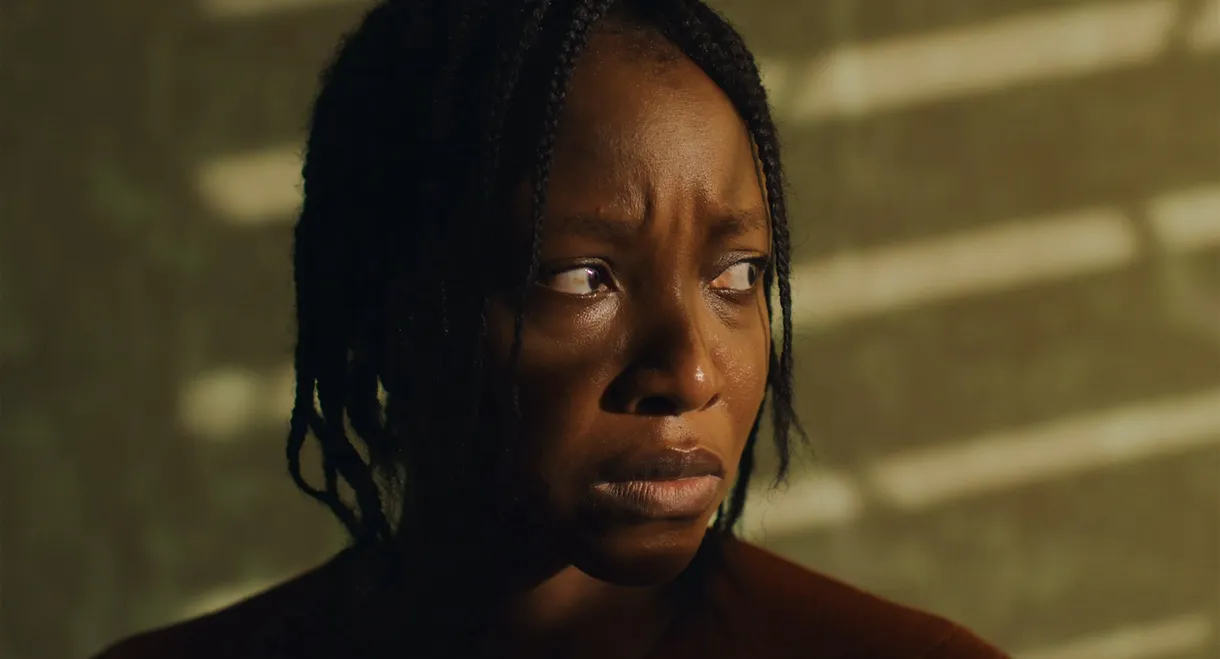 The Fire and the Moth