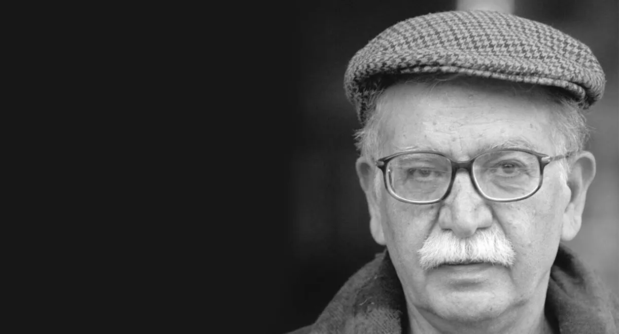 The Sun of Cloudy Years