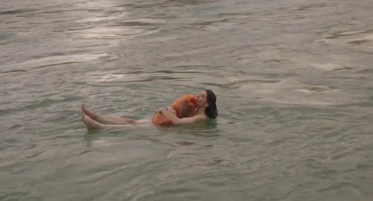 Apuntes para una ficción consentida