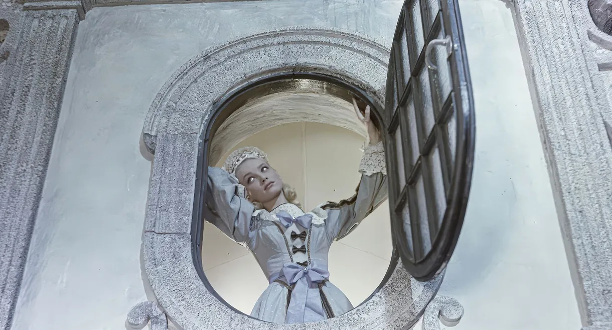 A Lady from the Window