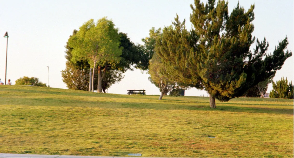 The Last Conversation