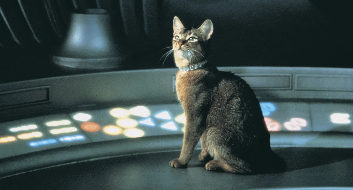 The Cat from Outer Space