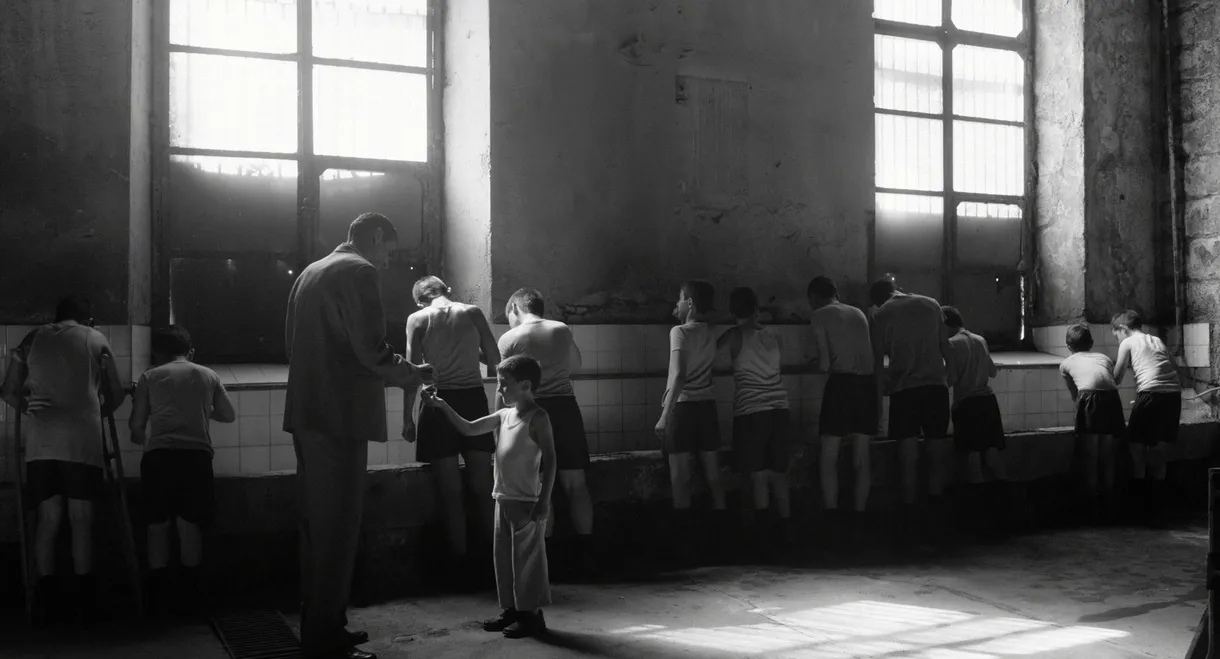 Giannis in the Cities