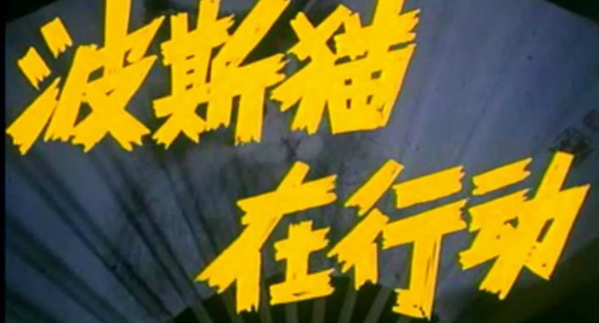 Persian Cat Is on Action