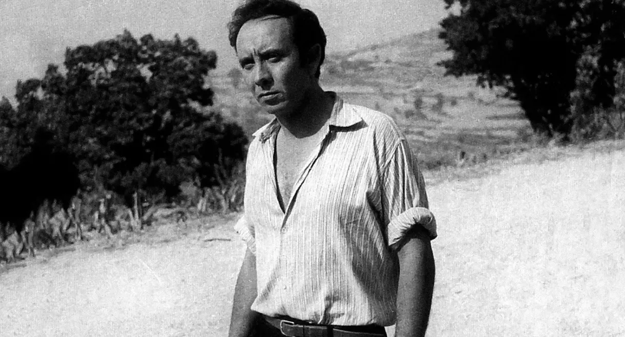 Twenty-Nine Brothers