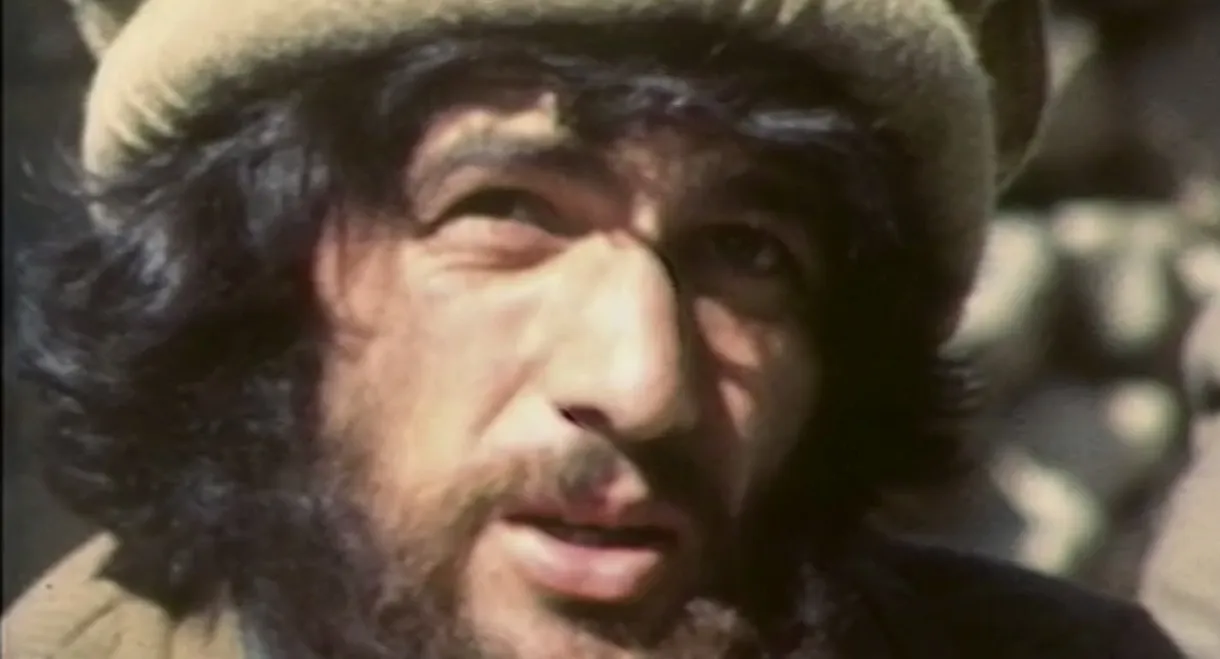 Les combattants de l'insolence