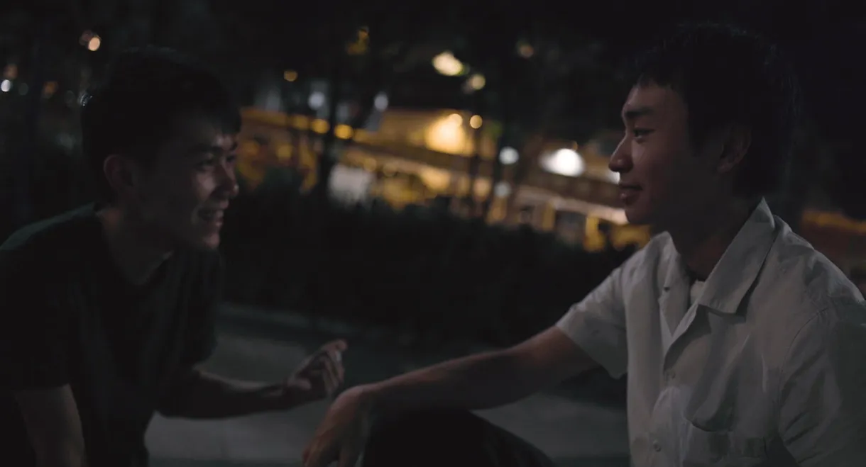 The Moonlight is Shining Tonight