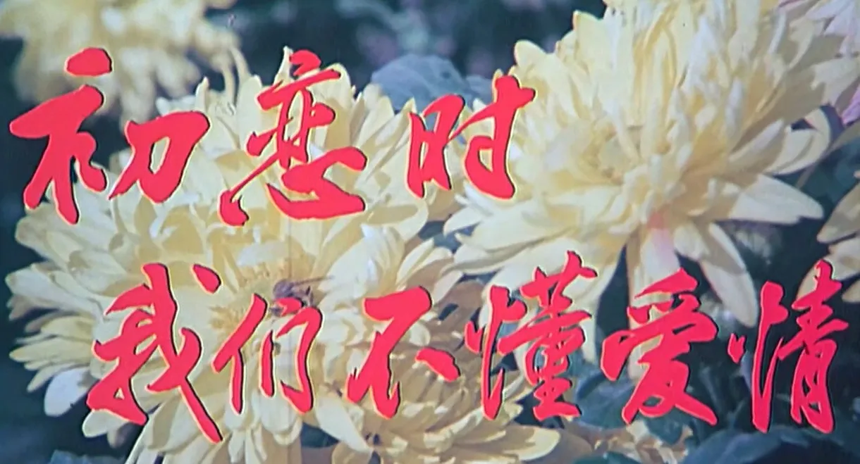 We Didn't Know Love During First Love