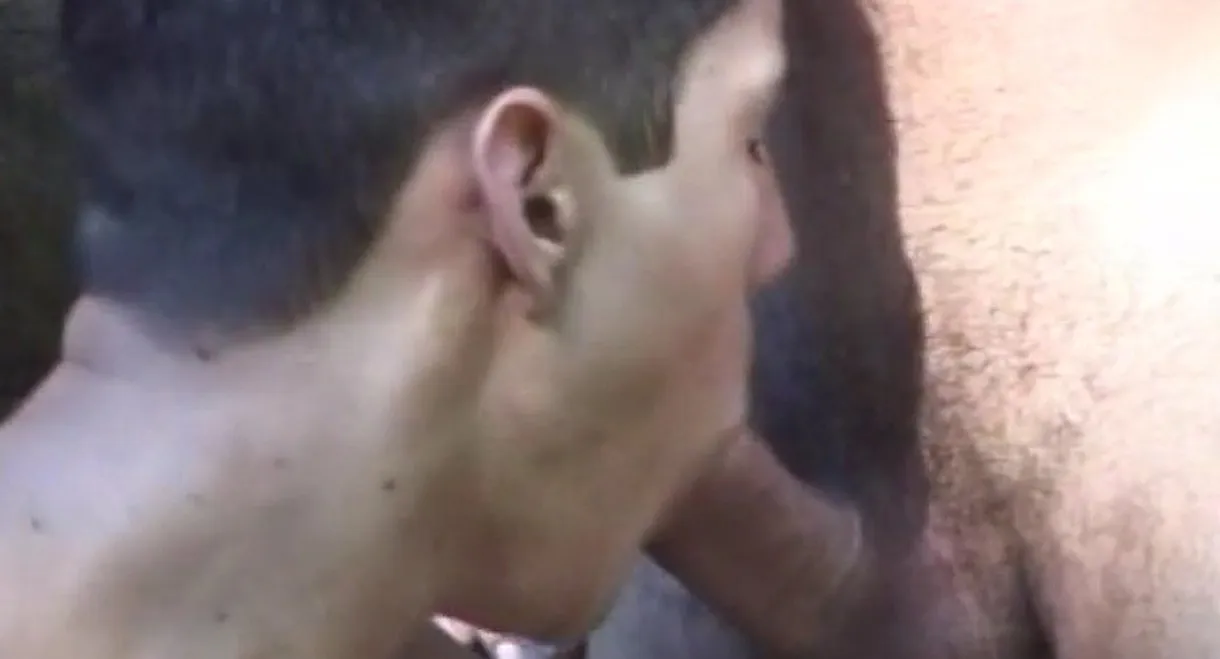 Apaixonados por Rolas