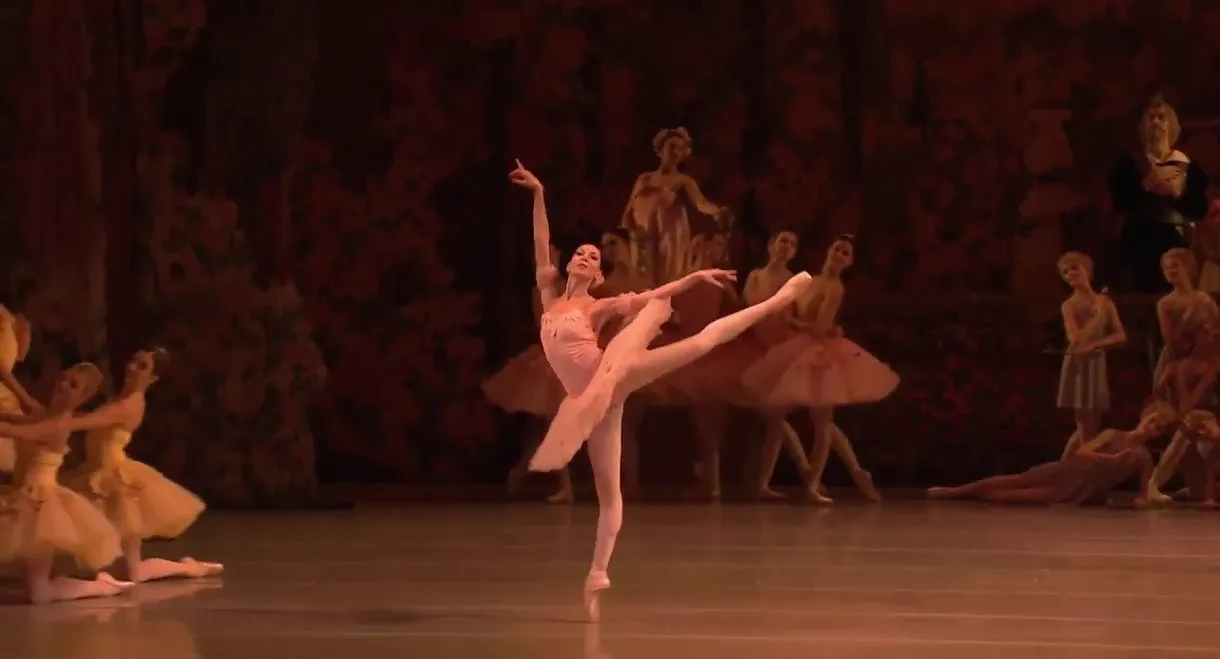 Don Quixote - Mariinsky Theatre