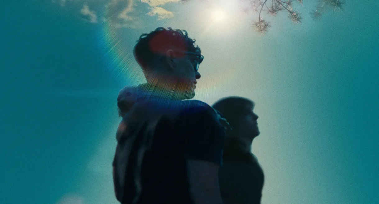 Come See Me in the Good Light