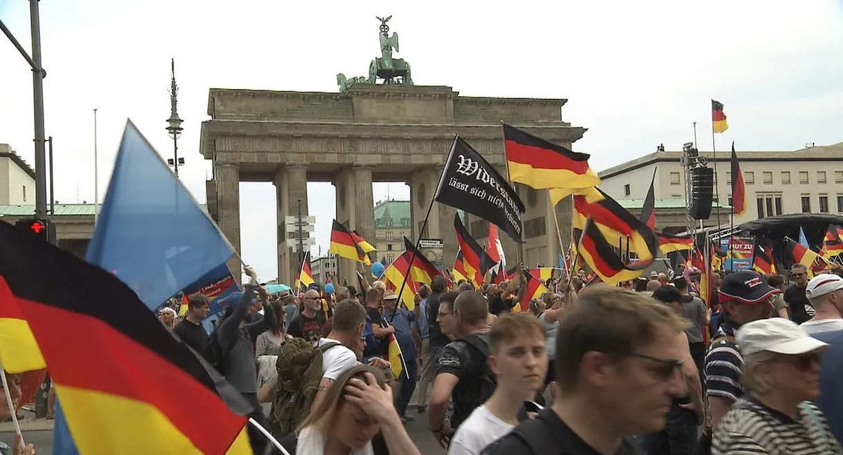 Störfall AfD – Das Netz der Rechten