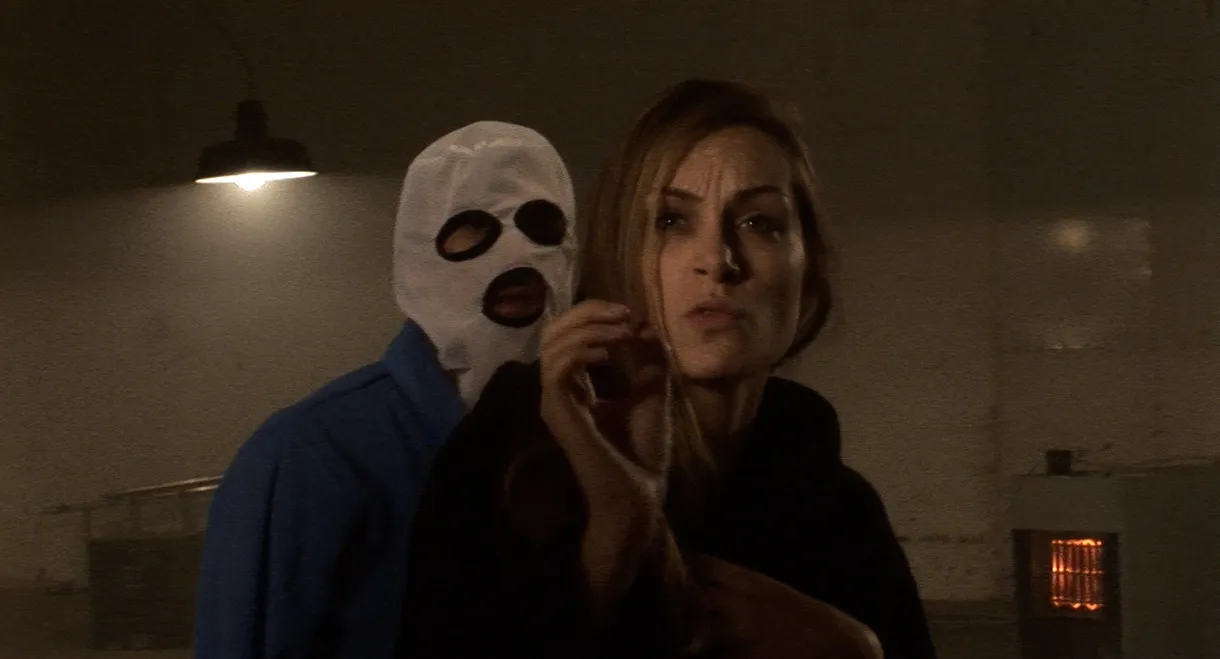 A Serbian Documentary