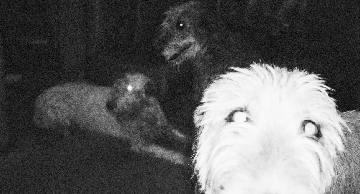 Not the Wound but the Scar