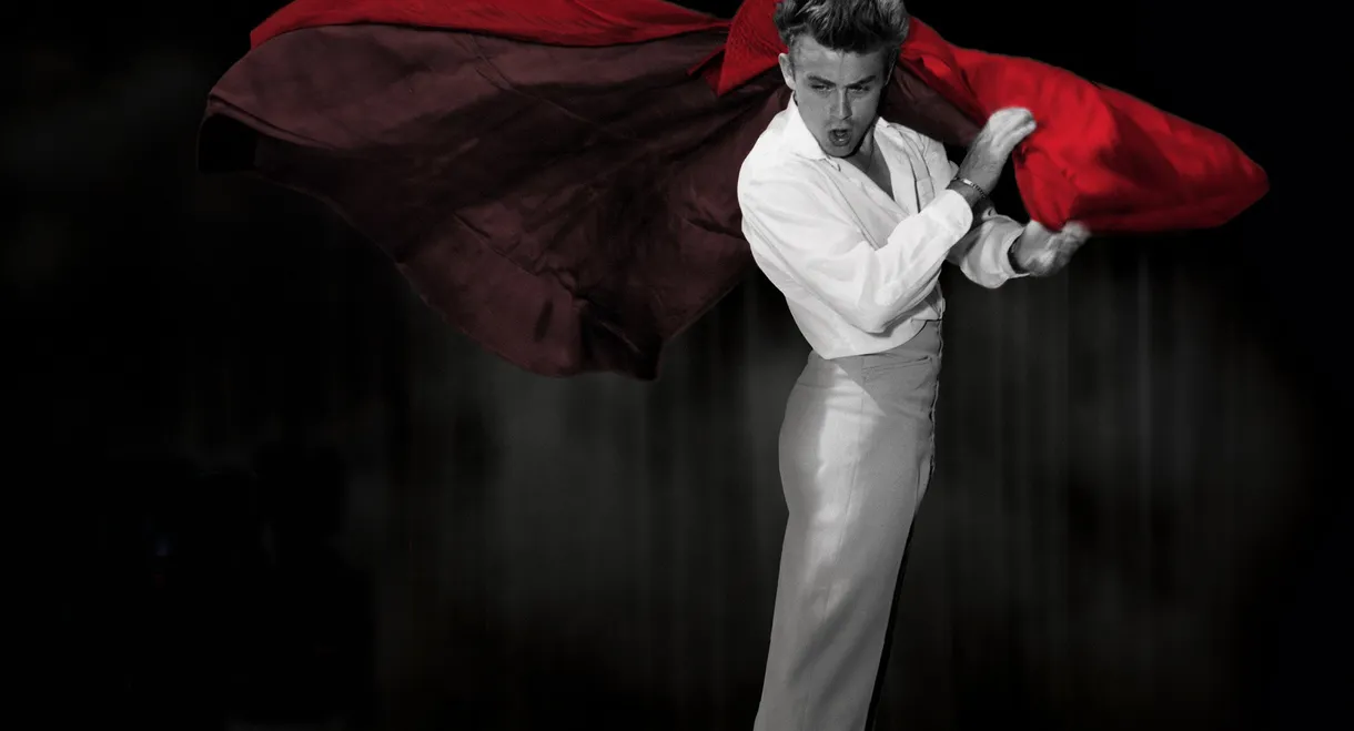 James Dean: Rebel Generation