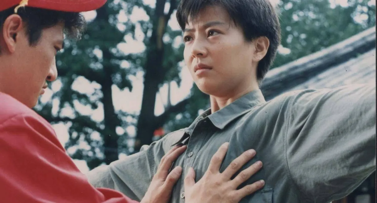 A Small Autocratic Republic