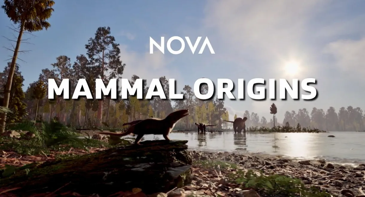 Mammal Origins