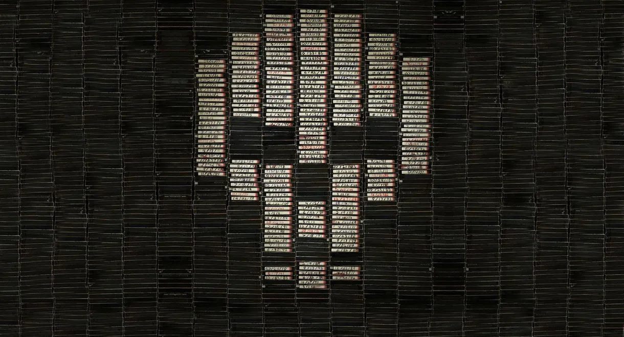 V/H/S
