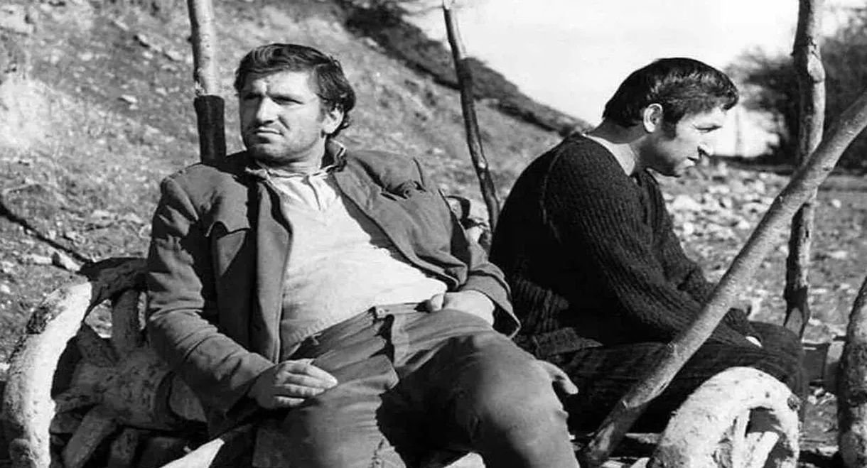 The Man from the Oak Forest