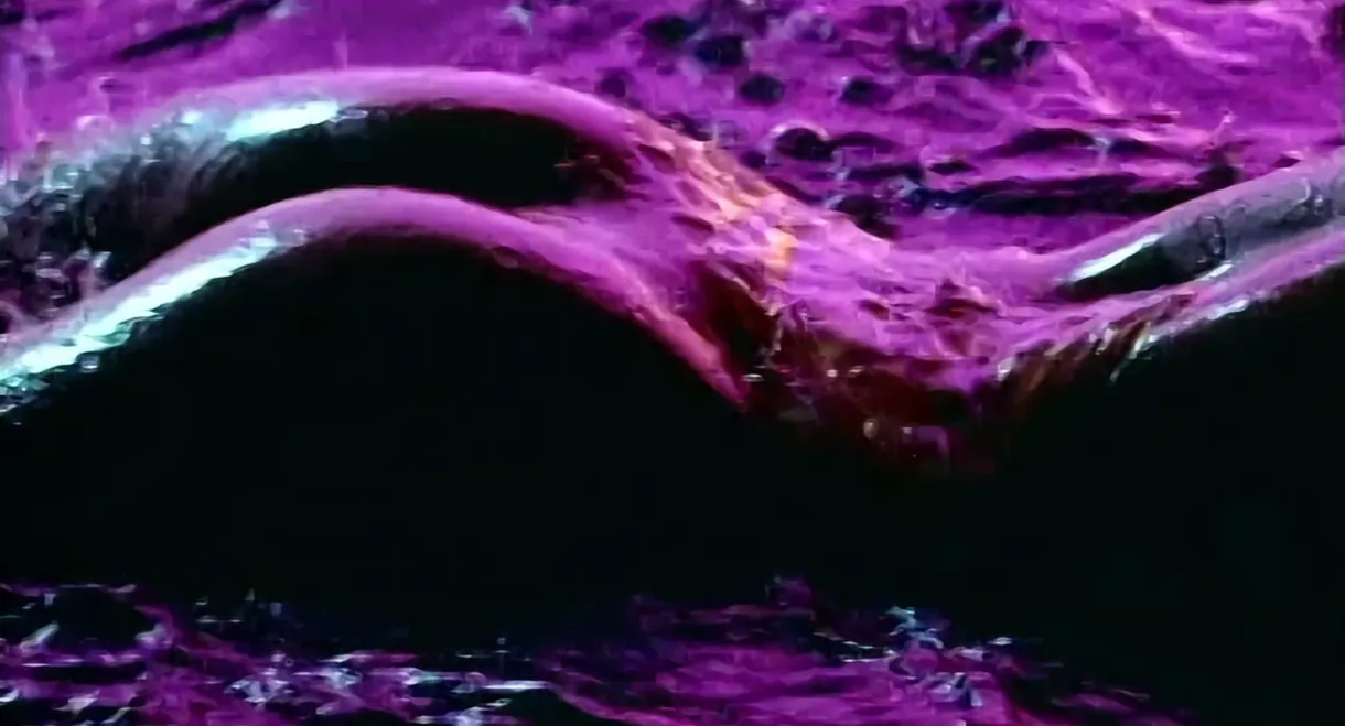 Playboy's Wet & Wild