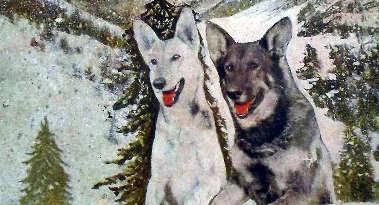 A Hero of the Big Snows