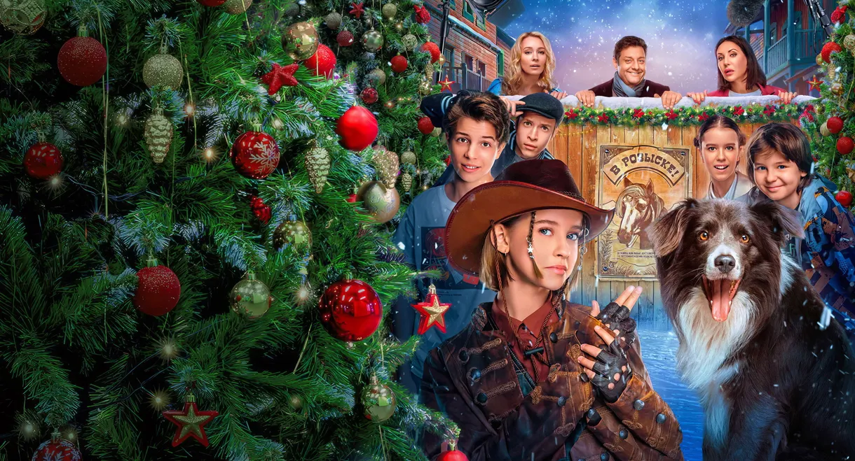 Home Alone. The Magnificent Five