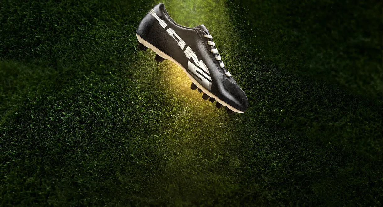 El rey Puma