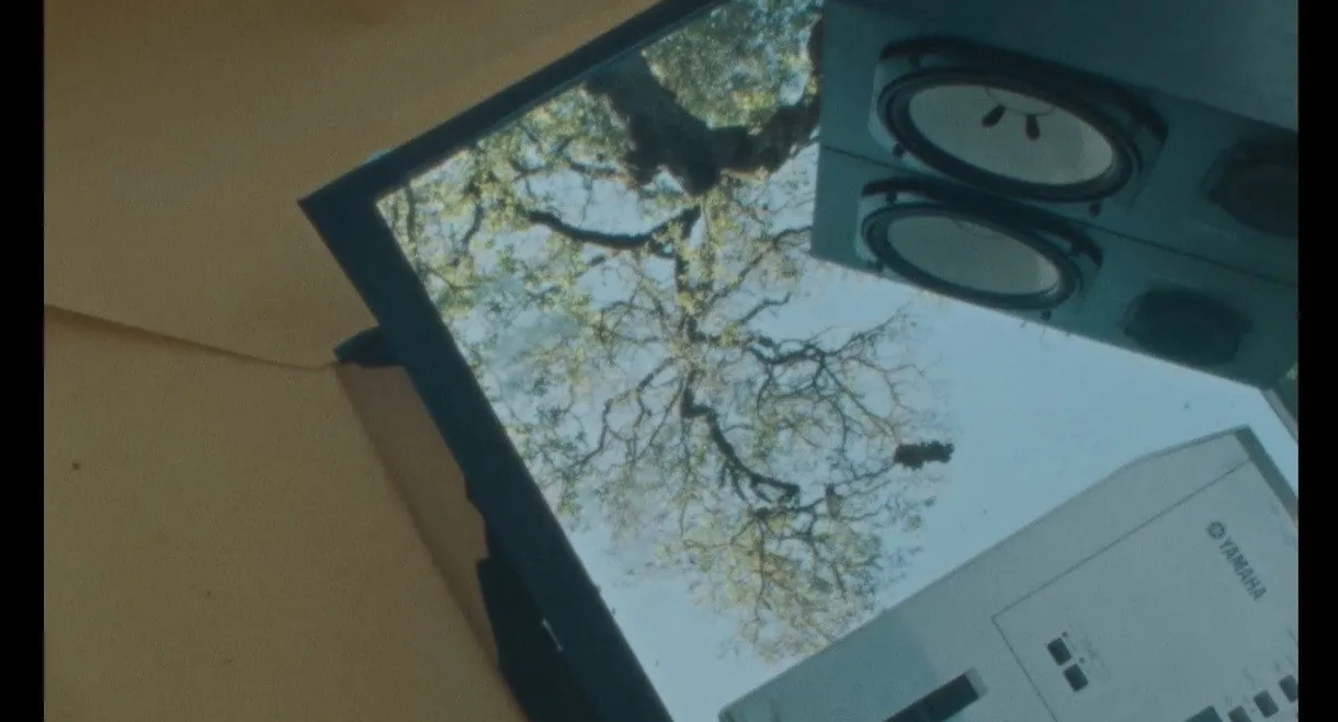 Creating Outer Peace