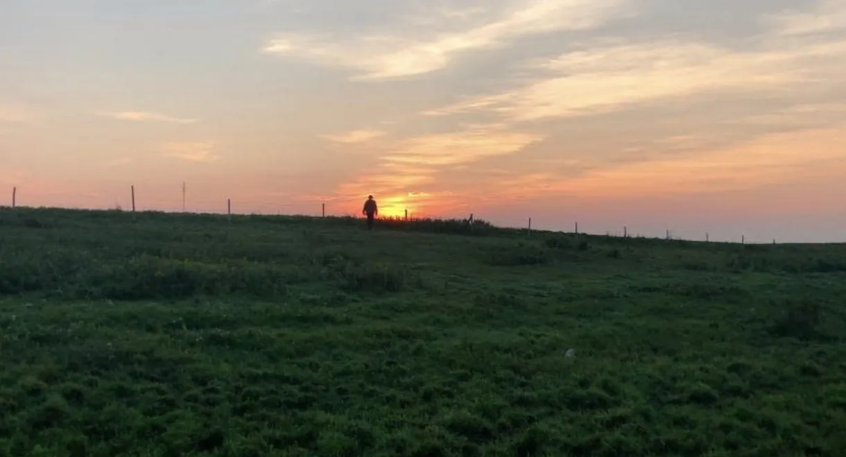 They Who Surround Us