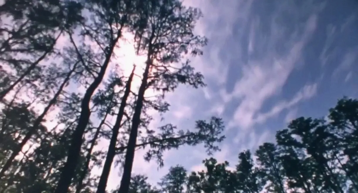 Wilderness: A Country in the Mind