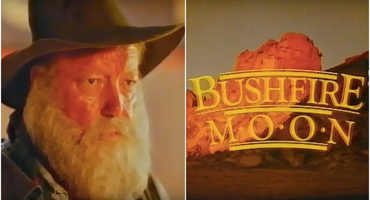 The Christmas Visitor