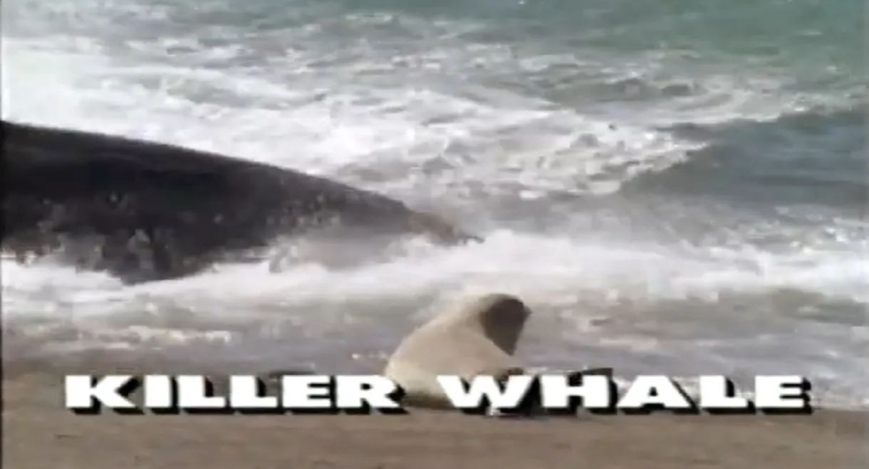 Predators of the Wild: Killer Whale