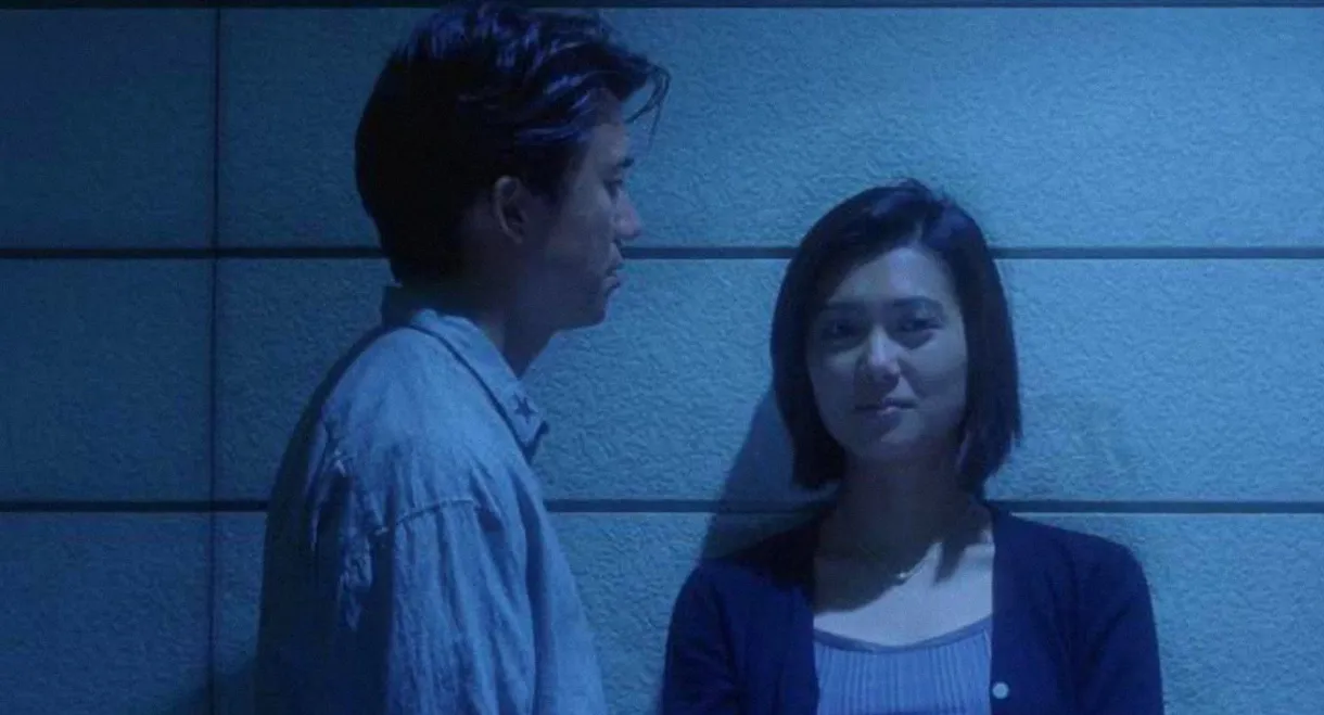 Apartment Wife: Lost Cat