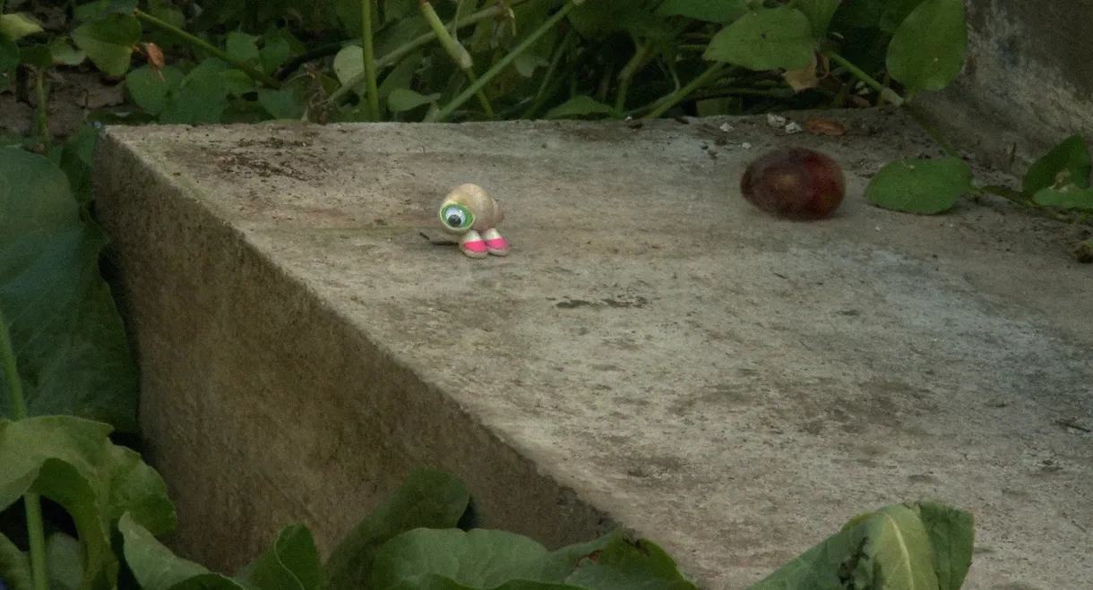 Marcel the Shell with Shoes On, Three