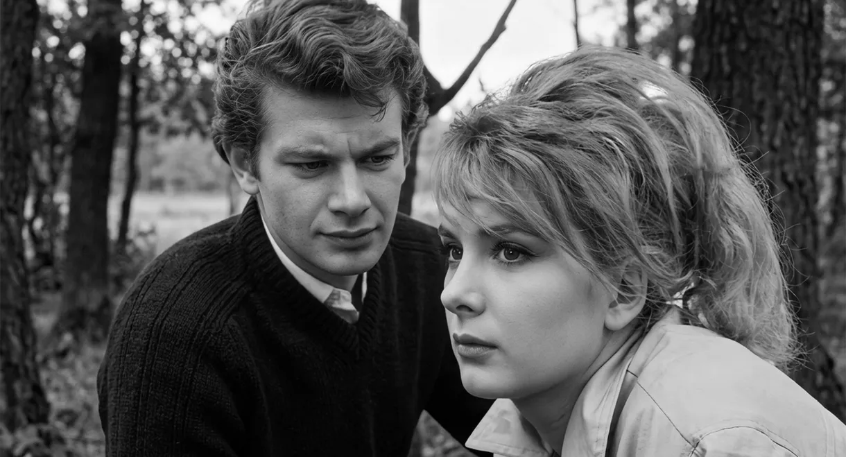 Şoför Nebahat ve Kızı