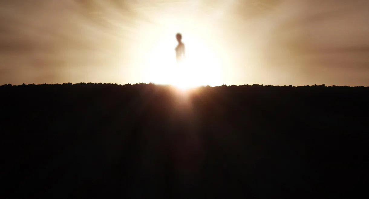 Illusion Tod - Jenseits des Greifbaren II