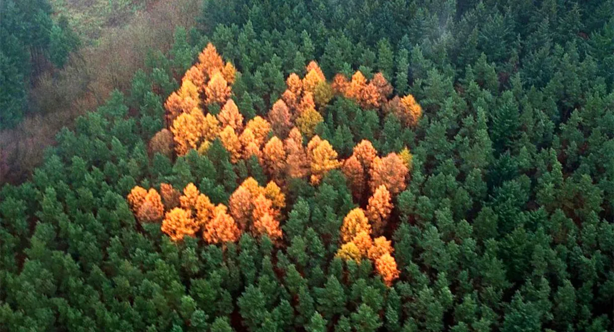 The Story of the Swastika