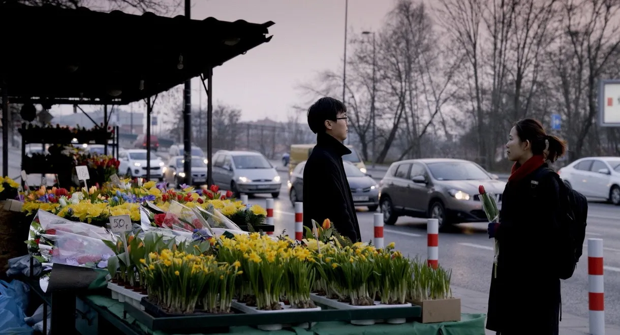 The King of the Border