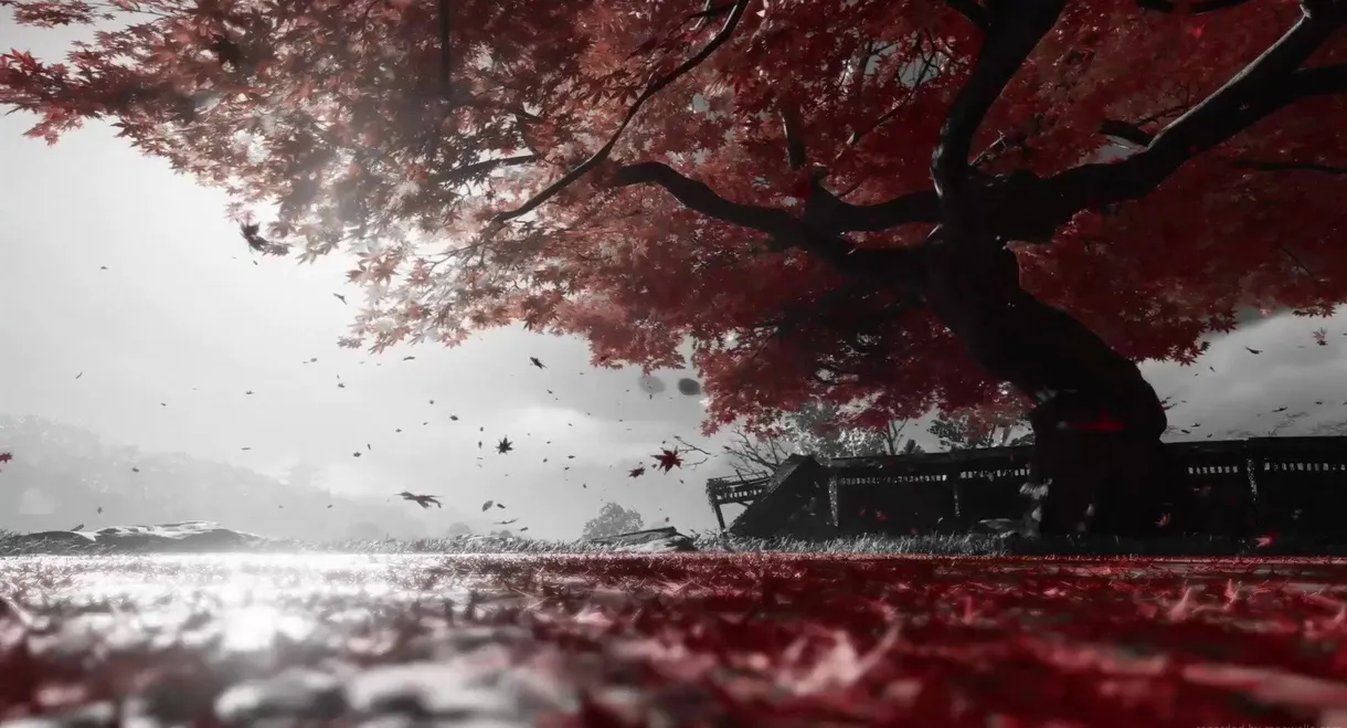 Ghost of Tsushima Director's Cut